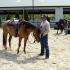 Discovering the Horseman Within â€“ with Ken McNabb